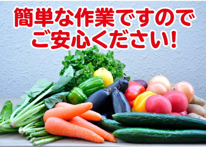 野菜皮むき、野菜カット・袋詰め、機械オペレーター、庫管理、フォークリフ