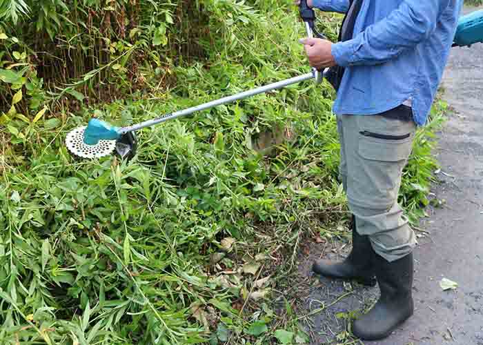 福島県立医科大学緑地管理