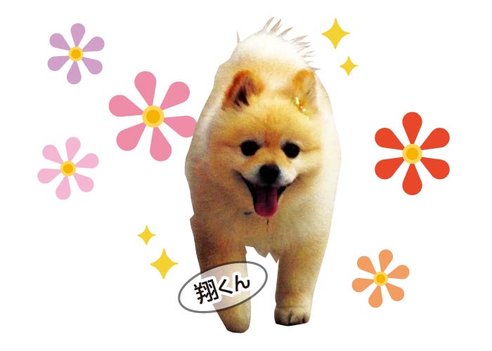 介護職員パート(資格・経験不要)