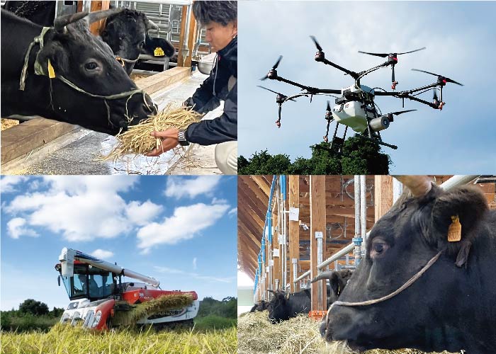 農作業従事者(水稲)・ 畜産(繁殖和牛)【正社員】