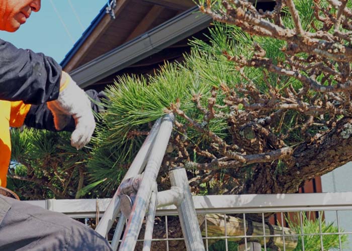 造園・土木工事作業者または管理者