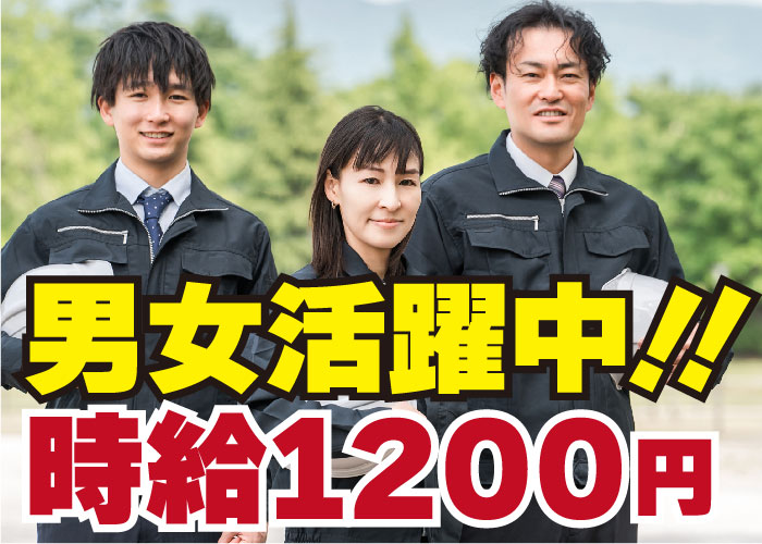 ✅木材の簡単な検査や選別！hh