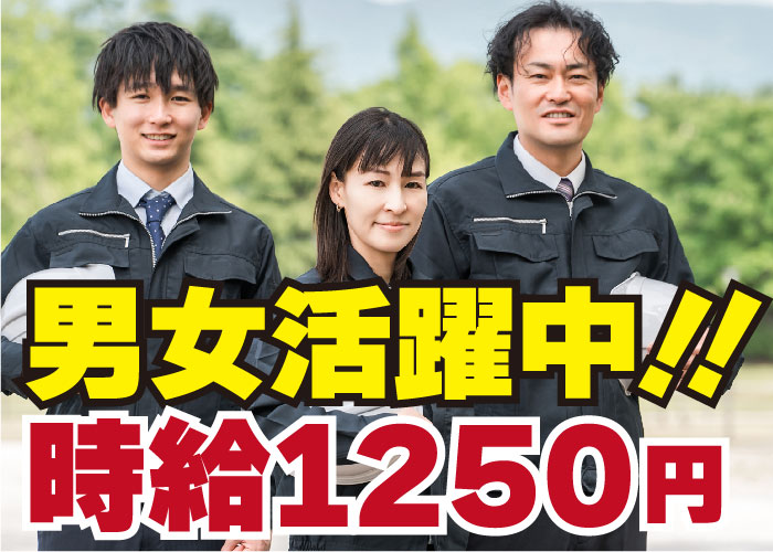 ✅木材の簡単な検査や選別！hh