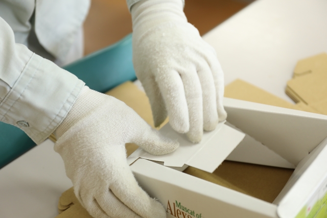 B型就労支援員（正社員）