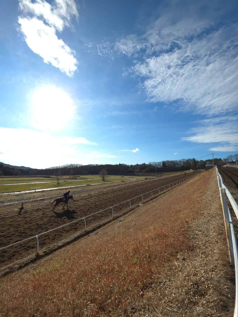 競走馬の育成トレーニング