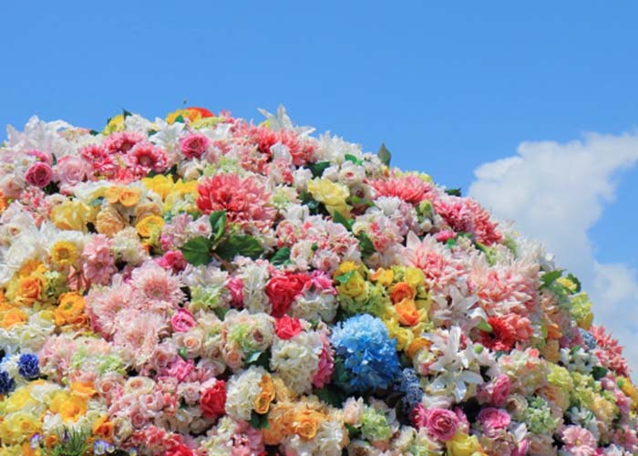 ペット葬儀に関する全般・園内管理業務です