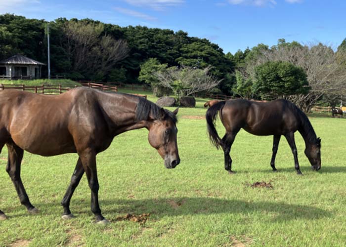 動物飼育スタッフ