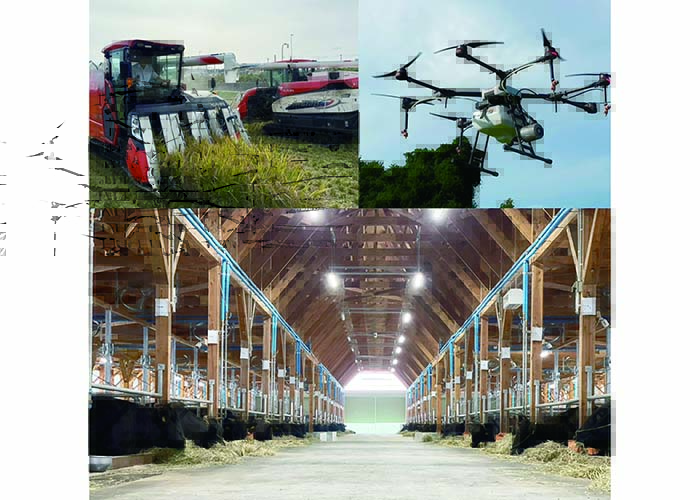 農作業従事者(水稲)・ 畜産管理(繁殖和牛)【正社員】